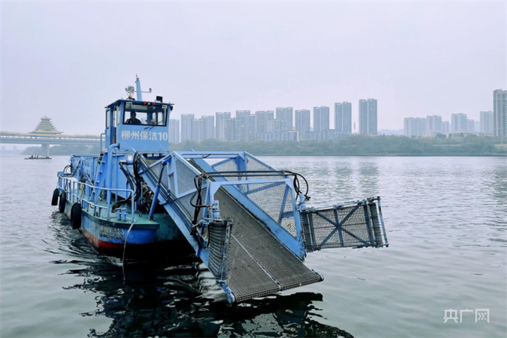 1644141295444164609.png 1644141295444164609.png